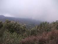 nte Ilice-20110120 025